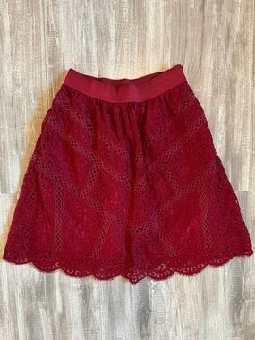 Ann Taylor Red Lace A-Line Skirt